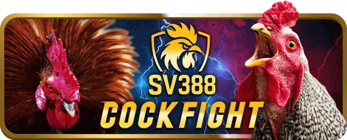 Hướng dẫn đăng ký và tham gia đá gà tại 789club Nổ Hũ